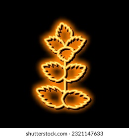 Minzblatt Neon Leuchtzeichen Vektor. Münzblatt-Illustration