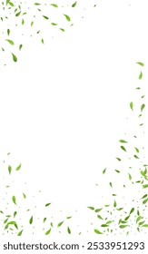 Mint Leaf Organic Vector White Background Design. Transparent Foliage Concept. Green Greens Swirl Branch. Leaves Abstract Backdrop.