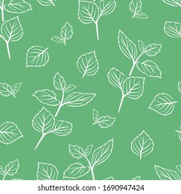 Mint leaf outline seamless pattern on green background. Simple vector monochrome illustration of aromatic herbs. Branches and leaves of peppermint.