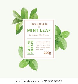 Mint Leaf Packaging Design Templates, Watercolour Style Vector Illustration.	
