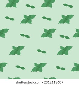Mint leaf pattern. Peppermint leaves, background for tea wrapping paper. Organic background with natural leaf. Vector illustration
