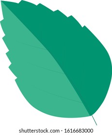 Mint leaf plane color icon
