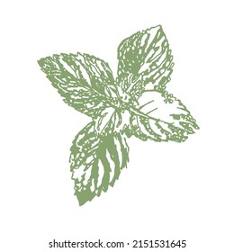 Mint leaf print vector illustration