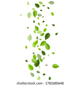 Mint Leaf Realistic Vector Backdrop. Motion Foliage Wallpaper. Grassy Greens Blur Design. Leaves Nature Pattern.
