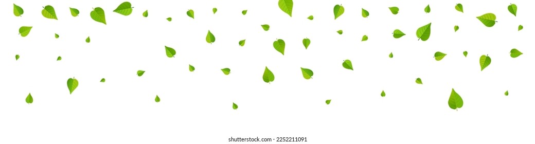 Mint Leaf Realistic Vector Panoramic White Background Pattern. Fly Greens Banner. Forest Leaves Tea Design. Foliage Tree Brochure.