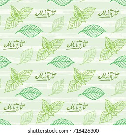 Mint Leaf Seamless Pattern. Hand Drawn Eco Peppermint Tea. Fresh Mint leaves. Menthol. Medicinal plants. Spicy Herbs Vector Background. 