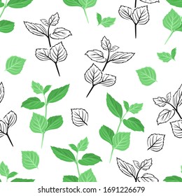 Mint leaf seamless pattern. Vector color illustration of green herb on  white background. Black and white outline. Peppermint leaves.