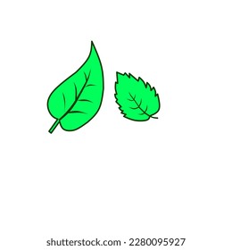 mint leaf simple icon on white background,fit for your business
