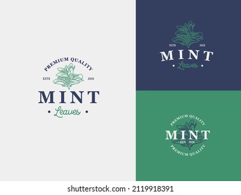 Minz Blatt Gewürz handgezeichnet Logo Vorlage mit Premium Vintage Typografie. Stilvolles Vintage Vectoremblem Konzept.