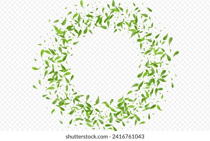 Mint Leaf Spring Vector Transparent Background Branch. Motion Greens Design. Grassy Foliage Fresh Wallpaper. Leaves Flying Banner.