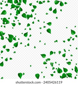Mint Leaf Swirl Vector Transparent Background Wallpaper. Fly Leaves Branch. Grassy Foliage Spring Template. Greens Falling Backdrop.