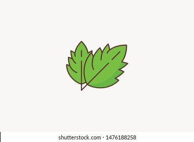 Mint leaf for tea - Colorful icon - Tea icon set