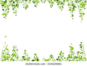 Mint Leaf Tea Vector Background. Ecology Greens Backdrop. Green Foliage Forest Template. Leaves Transparent Border.