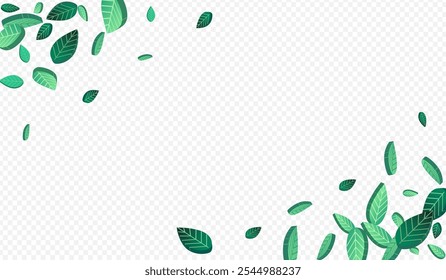 Mint Leaf Tree Vector Transparent Background Pattern. Realistic Greens Illustration. Grassy Foliage Wind Brochure. Leaves Transparent Wallpaper.