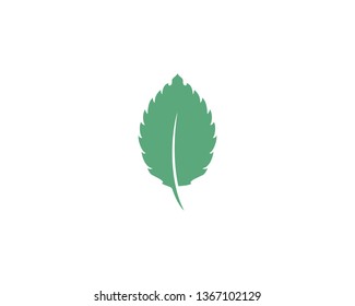 Mint leaf vector icon illustration design