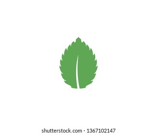 Mint leaf vector icon illustration design