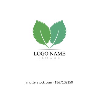 Mint leaf vector icon illustration design