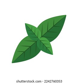 Ilustración vectorial de la hoja de menta. Dibujo de hoja de menta. Vacaciones de verano, decoración, naturaleza, paraíso, concepto de comida para tarjeta de saludo