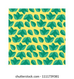 Mint leaf vector illustration. Leaf herbal spearmint plant