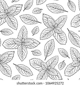 Mint Leaf Vector Seamless Pattern. Hand Drawn Peppermint Green Tea. Fresh Mint leaves Background. Medicinal plants or Spicy Herbs Dot work illustration