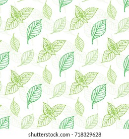 Mint Leaf Vector Seamless Pattern. Hand Drawn Eco Peppermint Tea. Fresh Mint leaves. Menthol. Medicinal plants. Spicy Herbs. 