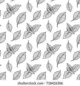 Mint Leaf Vector Seamless Pattern. Hand Drawn Eco Peppermint Tea. Fresh Mint leaves. Menthol. Medicinal plants. Spicy Herbs Background