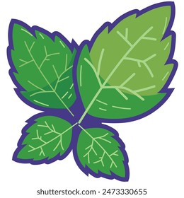 Mint leaf vegetable cartoon icon vector illustration, healthy green leafy vegetables