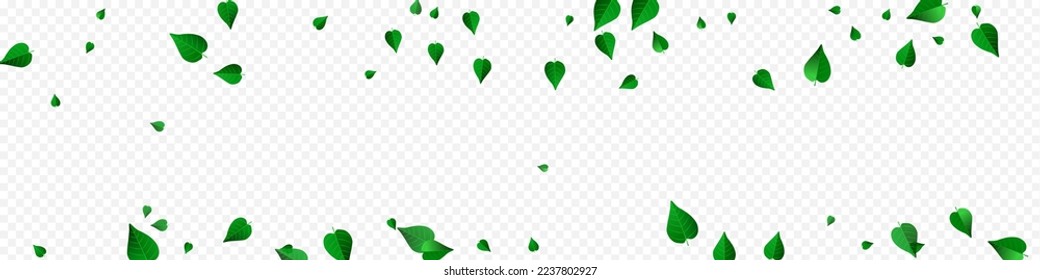 Mint Leaf Wind Vector Panoramic Transparent Background Border. Blur Leaves Poster. Green Foliage Nature Concept. Greens Herbal Illustration.