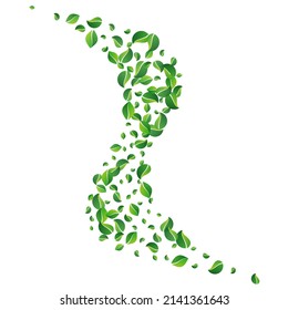 Mint Leaf Wind Vector White Background. Spring Leaves Poster. Lime Foliage Abstract Pattern. Greens Motion Illustration.