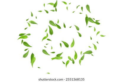 Mint Leaves Abstract Vector White Background Banner. Swirl Greens Illustration. Swamp Foliage Blur Template. Leaf Ecology Poster.