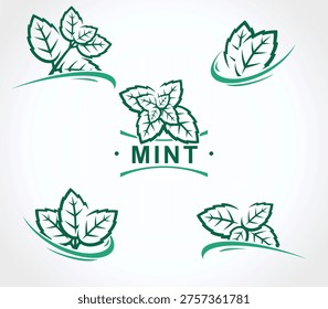 Mint leaves background, pattern set. Collection mint leaves icons. Vector