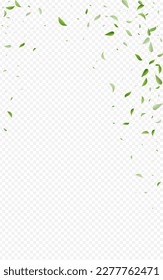Mint Leaves Blur Vector Transparent Background Concept. Organic Greens Template. Lime Foliage Abstract Backdrop. Leaf Tea Brochure.