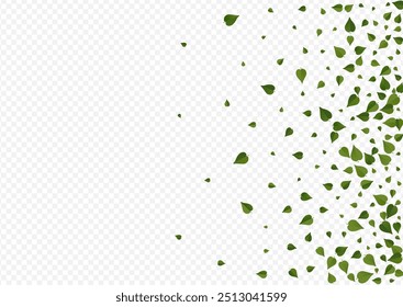 Hojas de menta desdibujan la ilustración de fondo transparente del Vector. Frontera de follaje realista. Fondo de pantalla de movimiento Lime Greens. Folleto de Naturaleza de hojas.