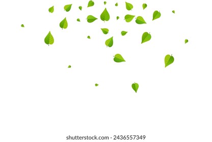 Mint Leaves Blur Vector White Background Illustration. Fresh Greens Template. Grassy Leaf Fly Brochure. Foliage Organic Pattern.