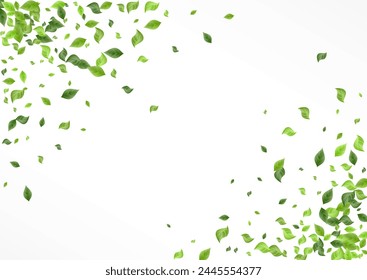 Mint Leaves Blur Vector White Background Branch. Herbal Greenery Banner. Green Leaf Swirl Concept. Foliage Falling Backdrop.