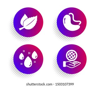 Mint leaves, Cashew nut and Rainy weather icons simple set. Halftone dots button. Safe planet sign. Mentha herbal, Vegetarian food, Water drop. Ecology. Nature set. Vector