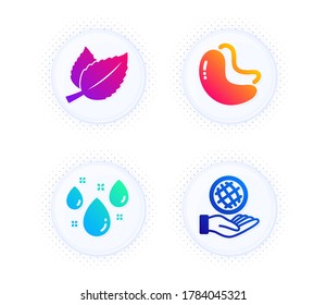 Hojas de menta, nueces de cajú y iconos del clima lluvioso conjunto simple. Botón con puntos de semitono. Signo de planeta seguro. Mentha, comida vegetariana, gota de agua. Ecología. La naturaleza. Vector