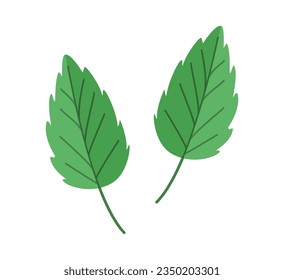 Mint Deja iconos de color. Ilustración vectorial aislada en blanco.