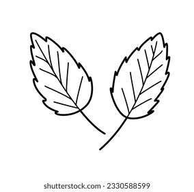 Mint Leaves doodle icons. Vector illustration single sketch isolate on white.