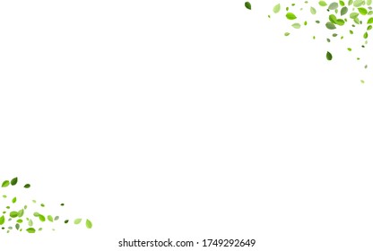Mint Leaves Ecology Vector Background. Swirl Foliage Wallpaper. Swamp Leaf Forest Branch. Greens Fly Pattern.