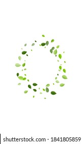 Mint Deja El Concepto De Vector Ecológico. Patrón Swirl Greens. Subdivisión de Moción Grassy Leaf. Fondo Foliage de hierbas.