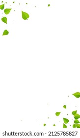 Mint Leaves Ecology Vector White Background Plant. Forest Foliage Branch. Olive Leaf Transparent Illustration. Greens Tree Concept.
