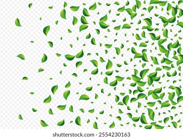 Mint Leaves Falling Vector Transparent Background. Tree Greens Design. Forest Foliage Realistic Backdrop. Leaf Nature Border.