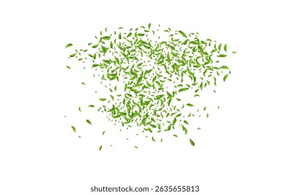 Mint Leaves Falling Vector White Background Poster. Motion Foliage Template. Lime Greens Organic Plant. Leaf Fresh Illustration.