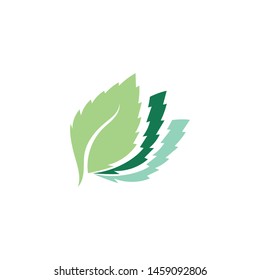 Mint leaves flat vector color icon template