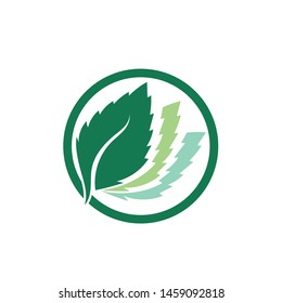 Mint leaves flat vector color icon template