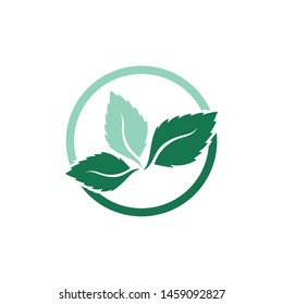 Mint leaves flat vector color icon template