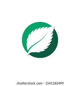 Mint leaves flat vector color icon template