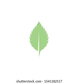 Mint leaves flat vector color icon template