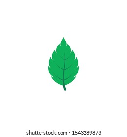 Mint leaves flat vector color icon template